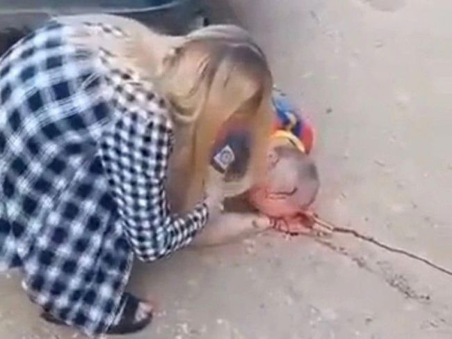 Ухтинка, умышленно сбившая автомобилем своего знакомого, отправится отбывать наказание в исправительную колонию